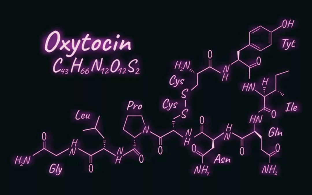 L’ocytocine : l’hormone du lien social